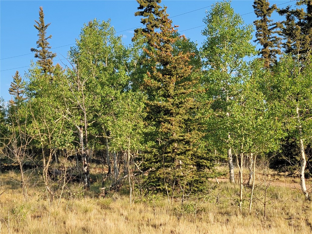 22 Teton Trail Property Photo 7