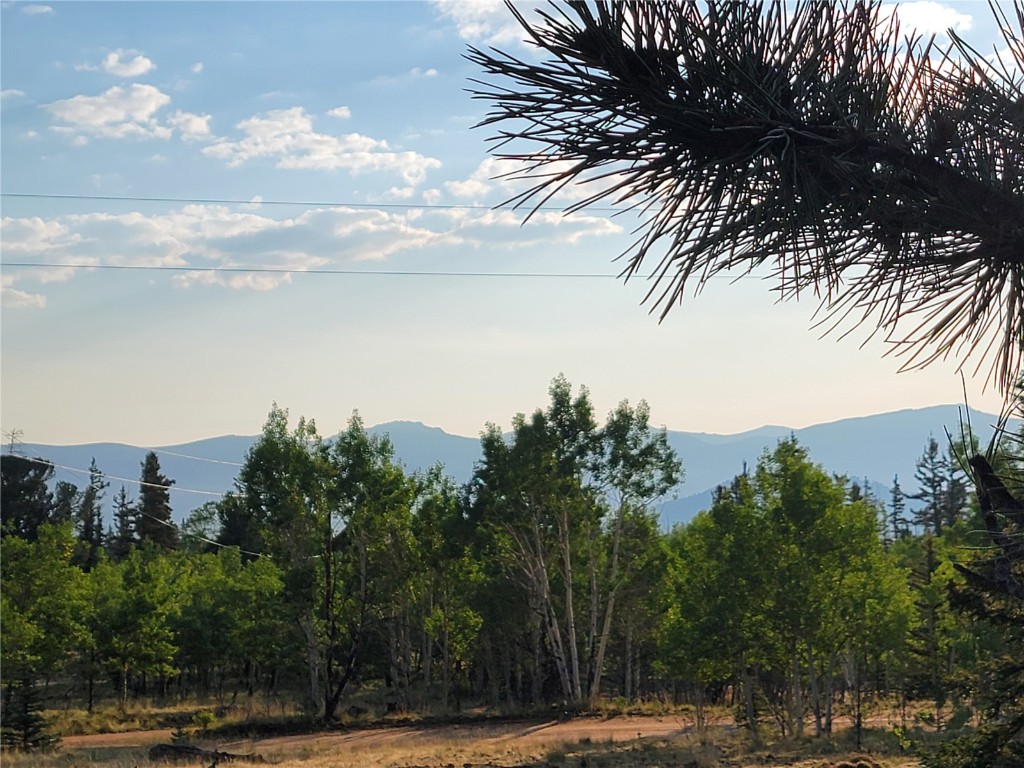22 Teton Trail Property Photo 10