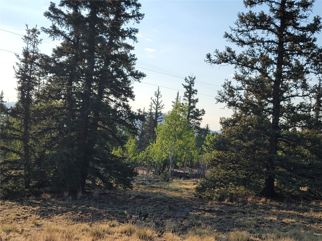 22 Teton Trail Property Photo 14