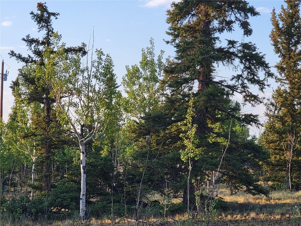 22 Teton Trail Property Photo 16