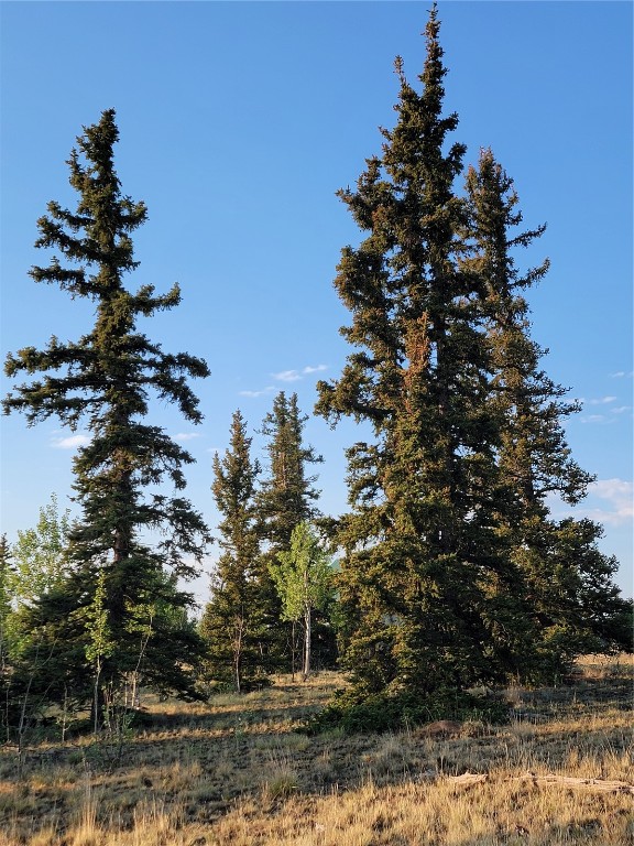 22 Teton Trail Property Photo 18