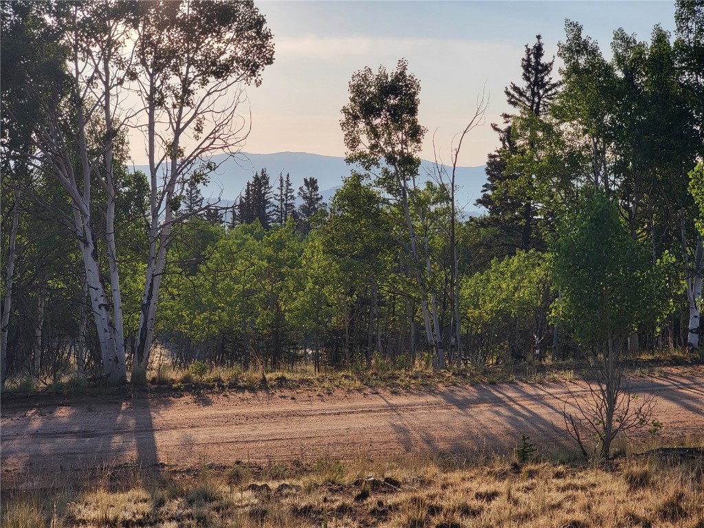 22 Teton Trail Property Photo 21