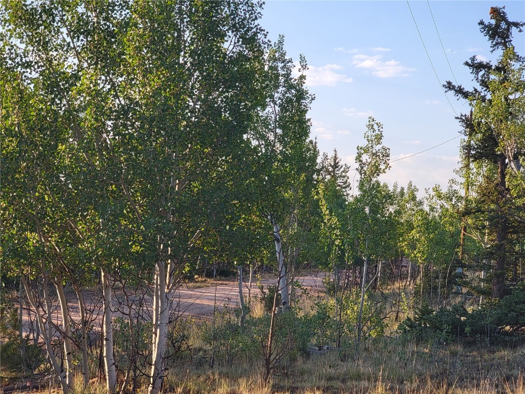 22 Teton Trail Property Photo 29