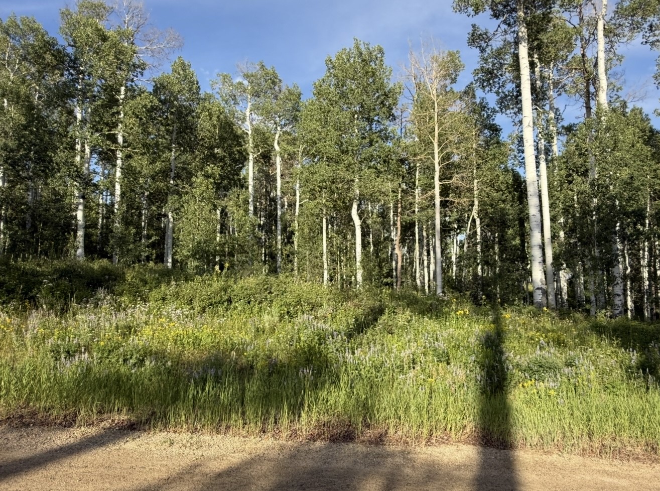 26320 Beaver Canyon Drive Property Photo 1