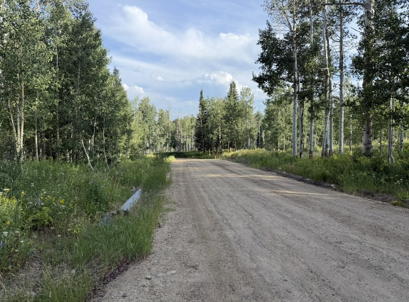 26320 Beaver Canyon Drive Property Photo 4