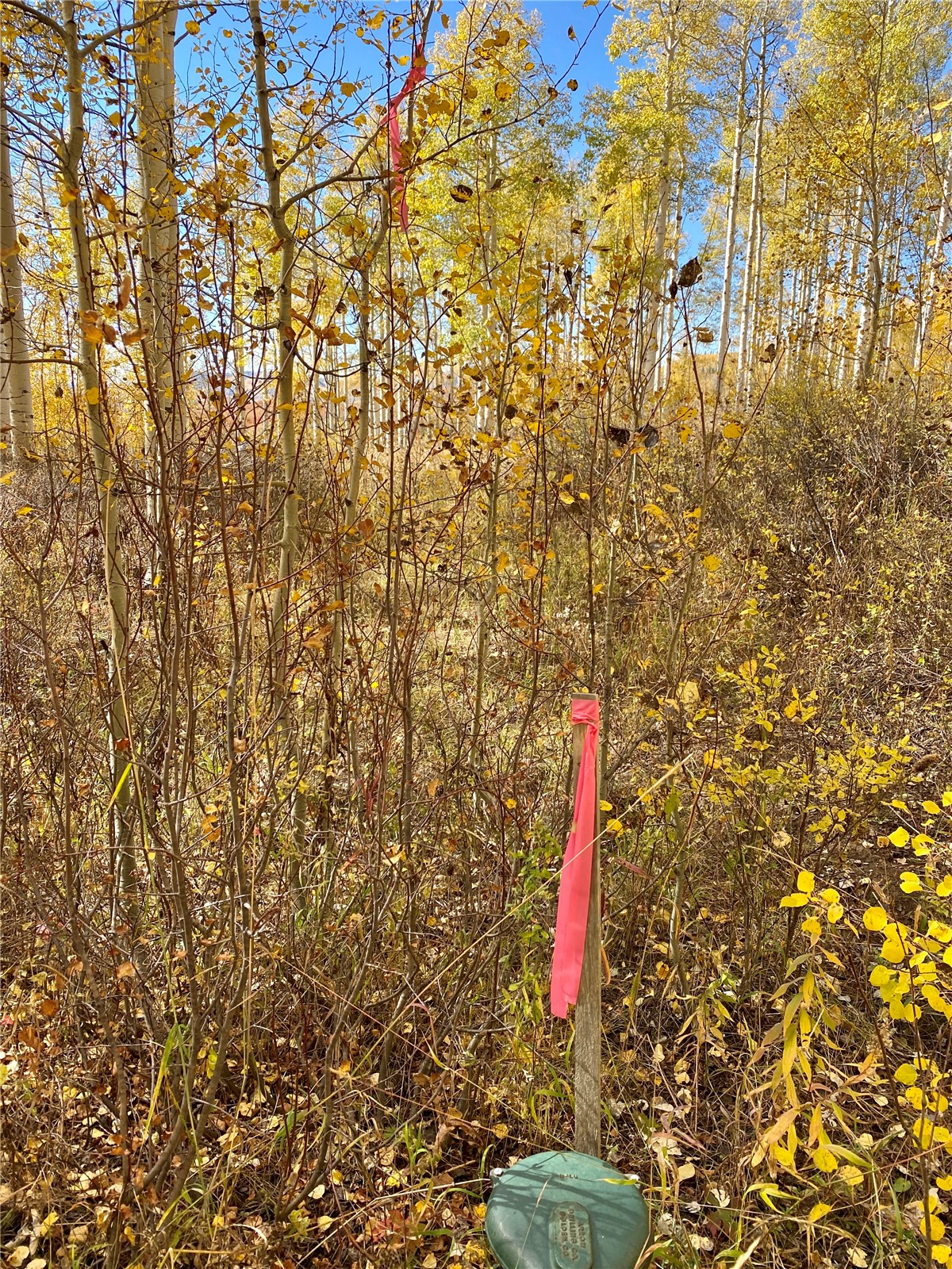 26320 Beaver Canyon Drive Property Photo 8