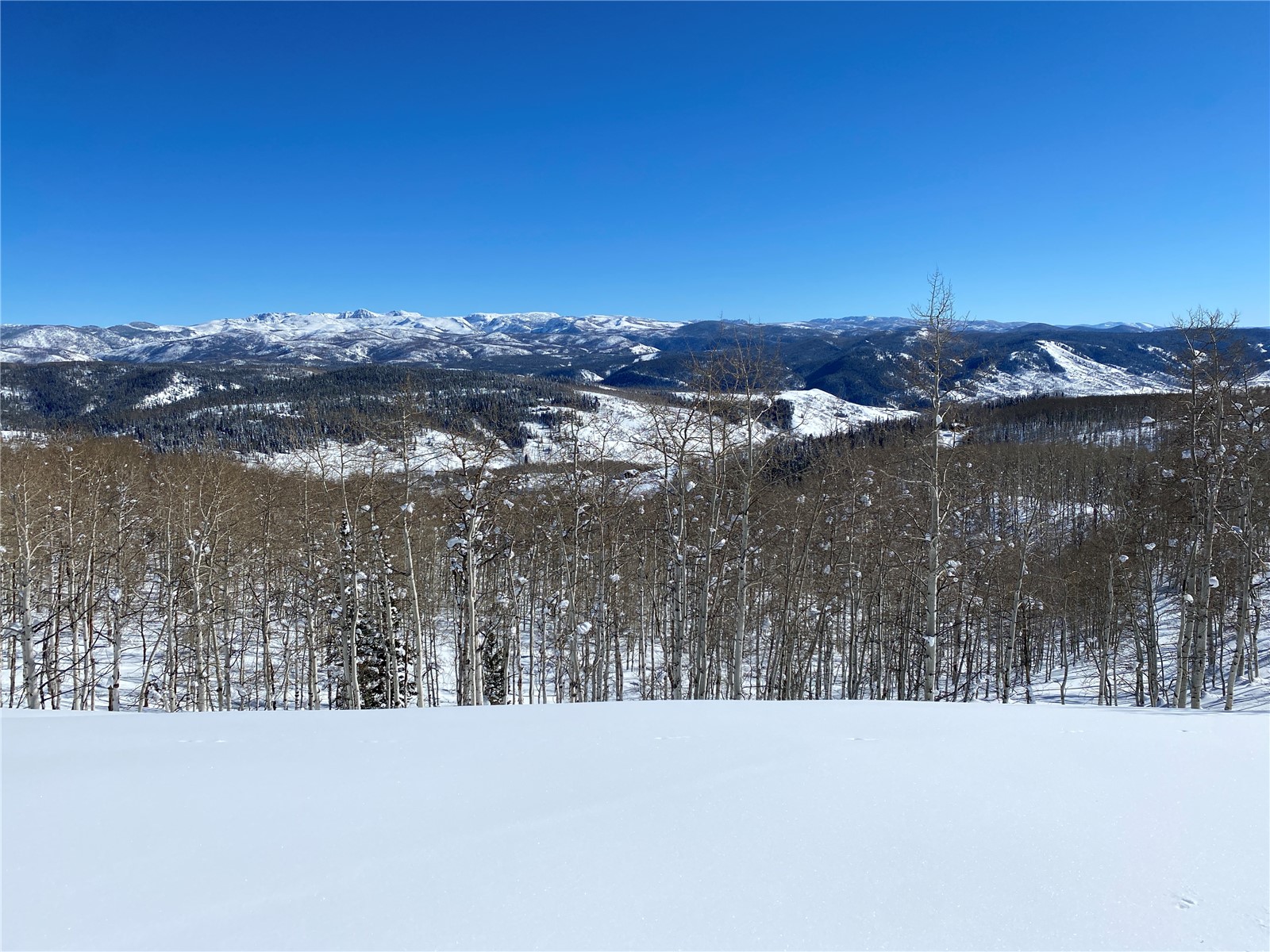 26320 Beaver Canyon Drive Property Photo 15