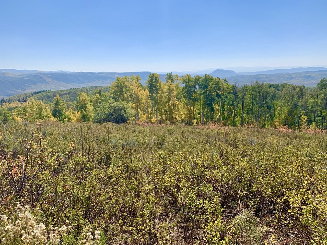 26320 Beaver Canyon Drive Property Photo 17