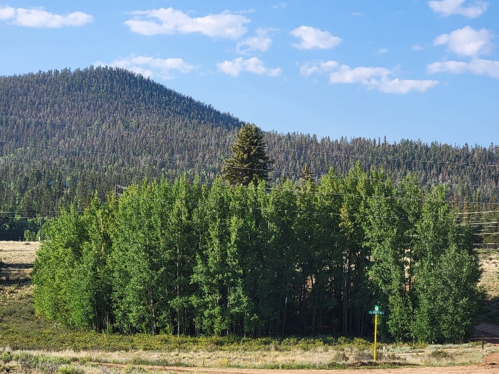 1630 Wampum Lane Property Photo 3