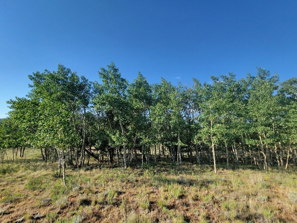 1630 Wampum Lane Property Photo 30