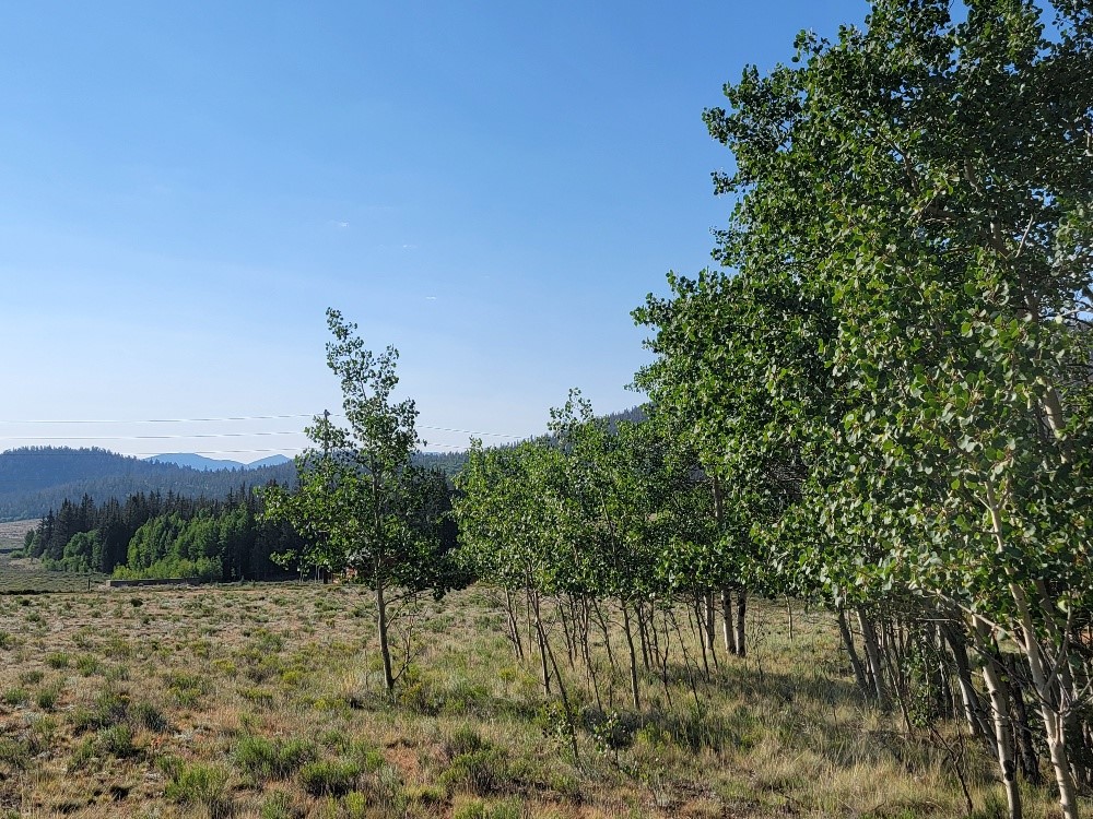 1630 Wampum Lane Property Photo 38