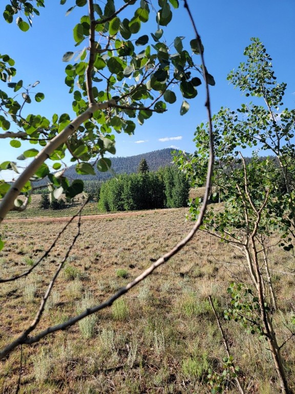 1630 Wampum Lane Property Photo 47