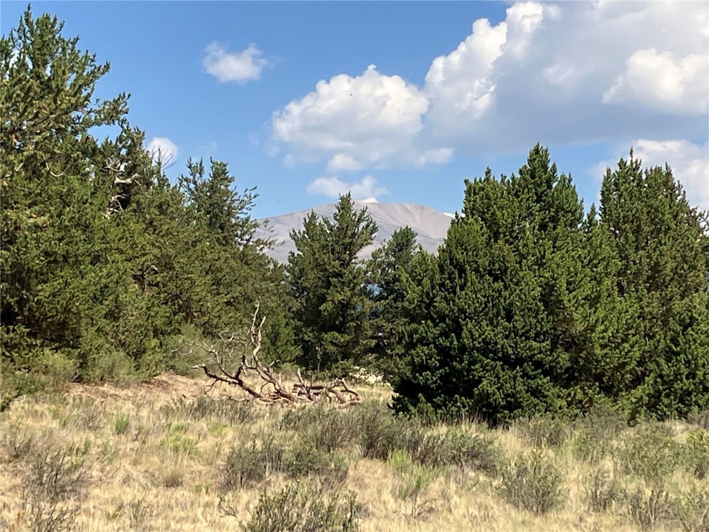 1344 Silverheels Road Property Photo 1