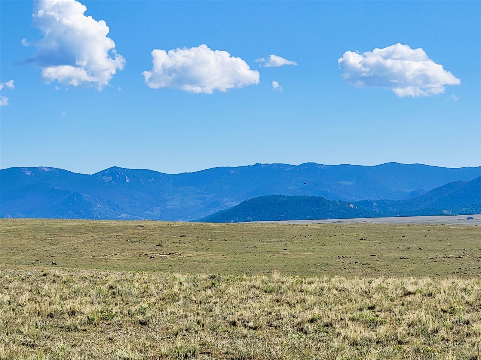 1723 Yellowstone Road Property Photo 7