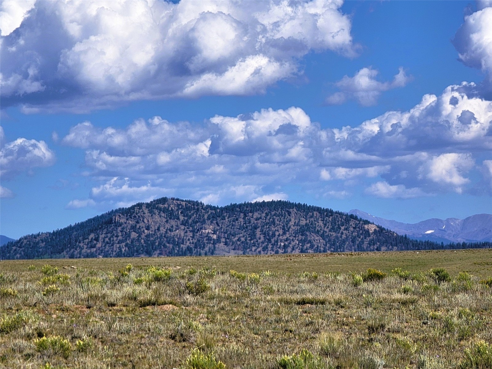 1723 Yellowstone Road Property Photo 15