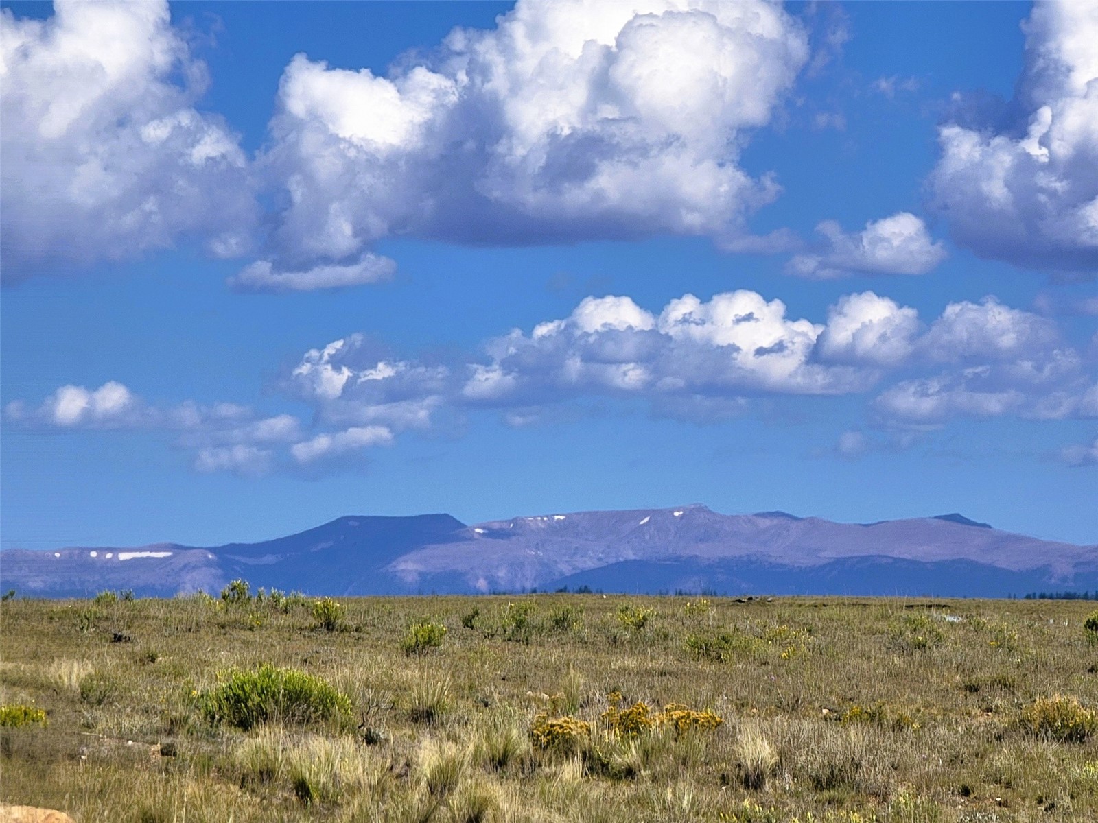 1723 Yellowstone Road Property Photo 16