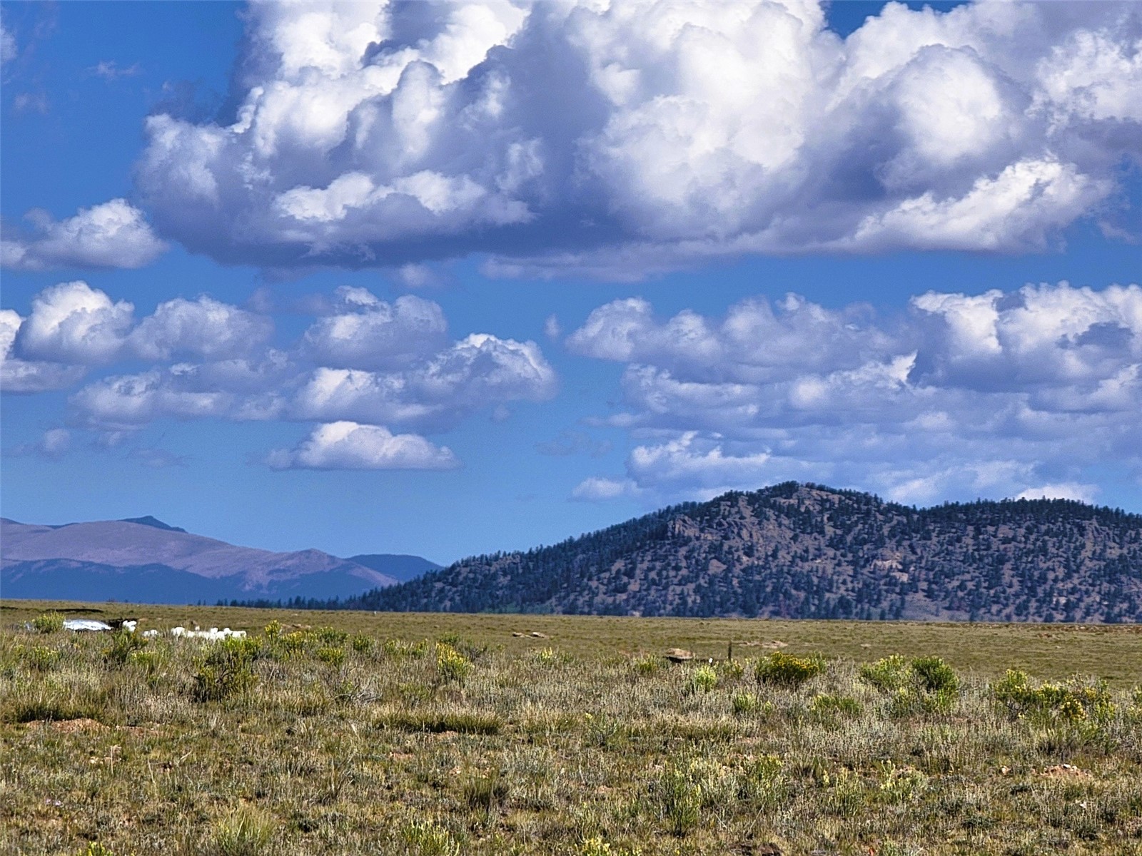 1723 Yellowstone Road Property Photo 19