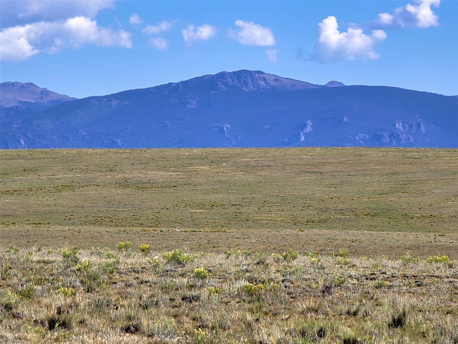 1723 Yellowstone Road Property Photo 23