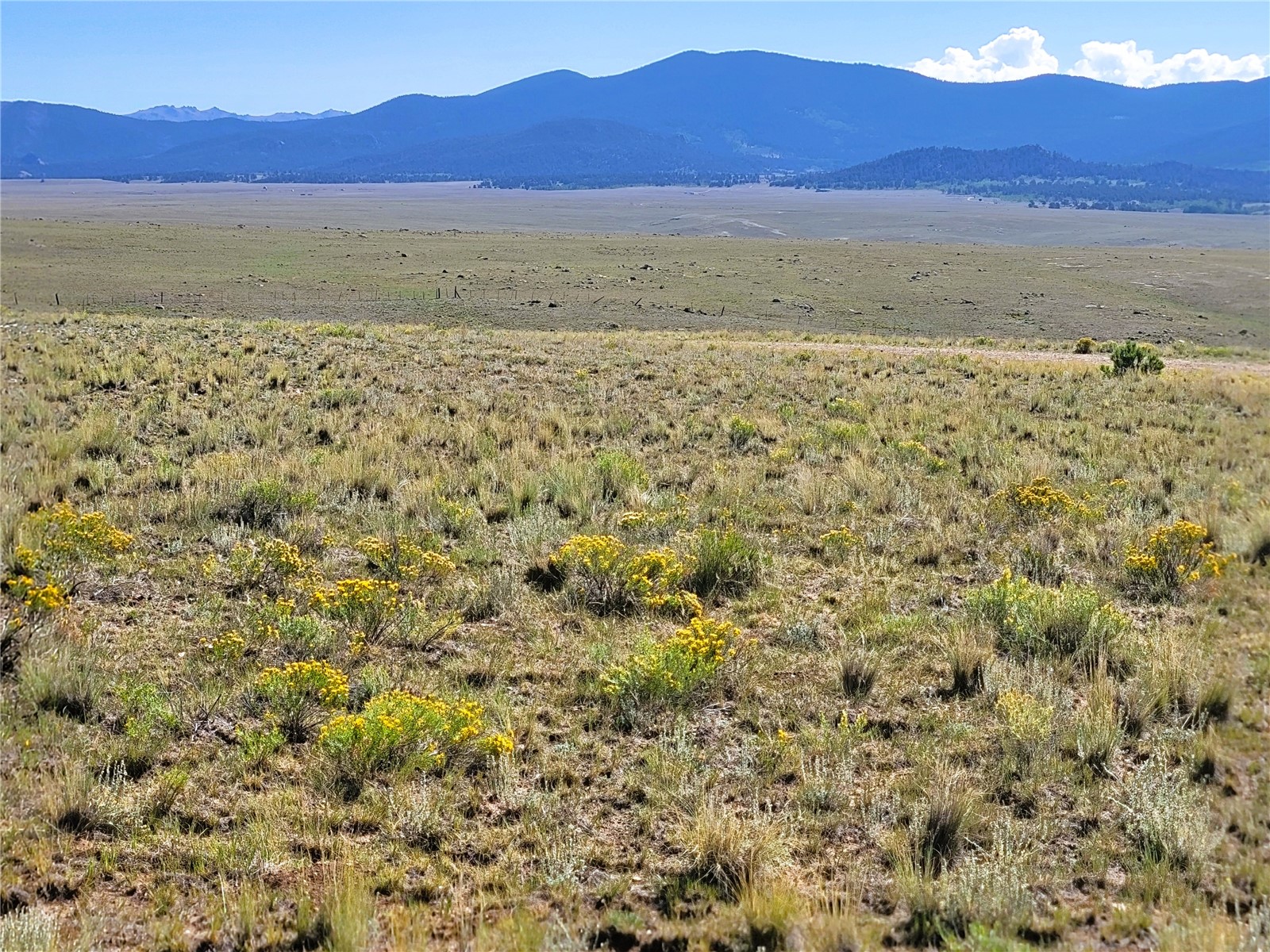 1723 Yellowstone Road Property Photo 26