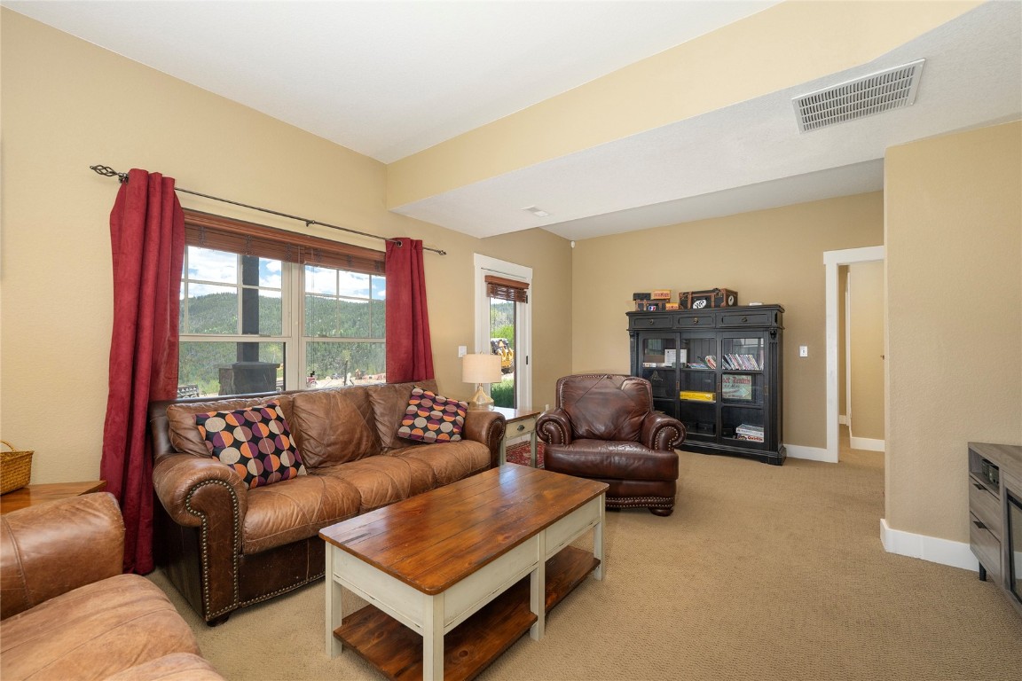 350 Lone Eagle Drive Property Photo 21
