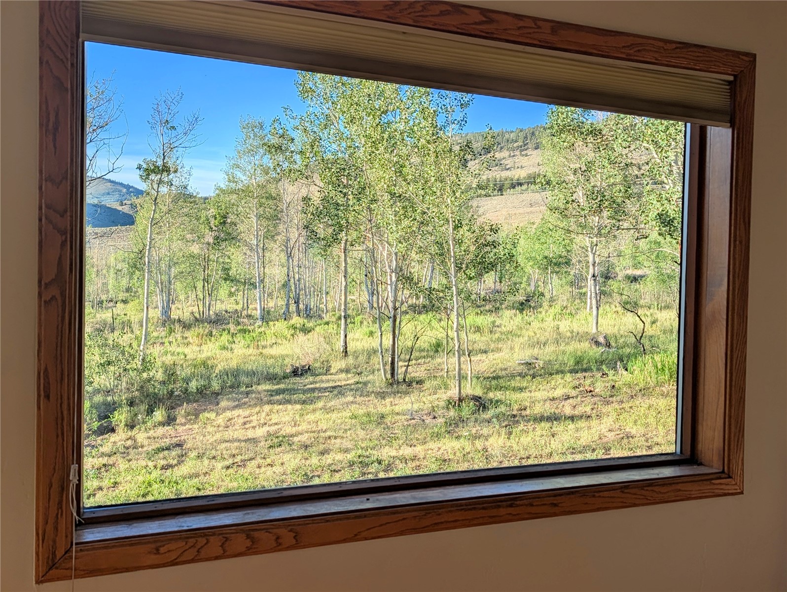 1703 Elk Run Road Property Photo 21