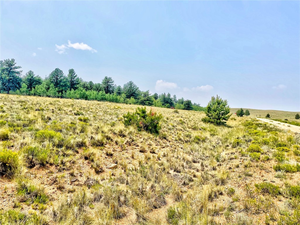 887 Superstition Trail Property Photo 1