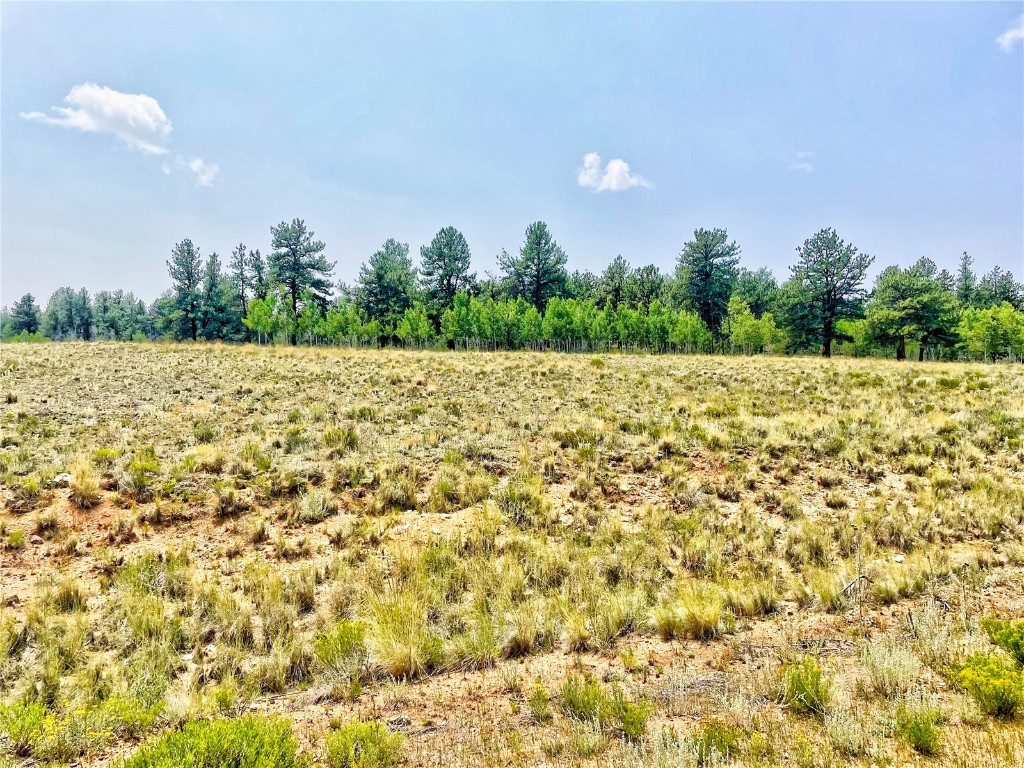 887 Superstition Trail Property Photo 8
