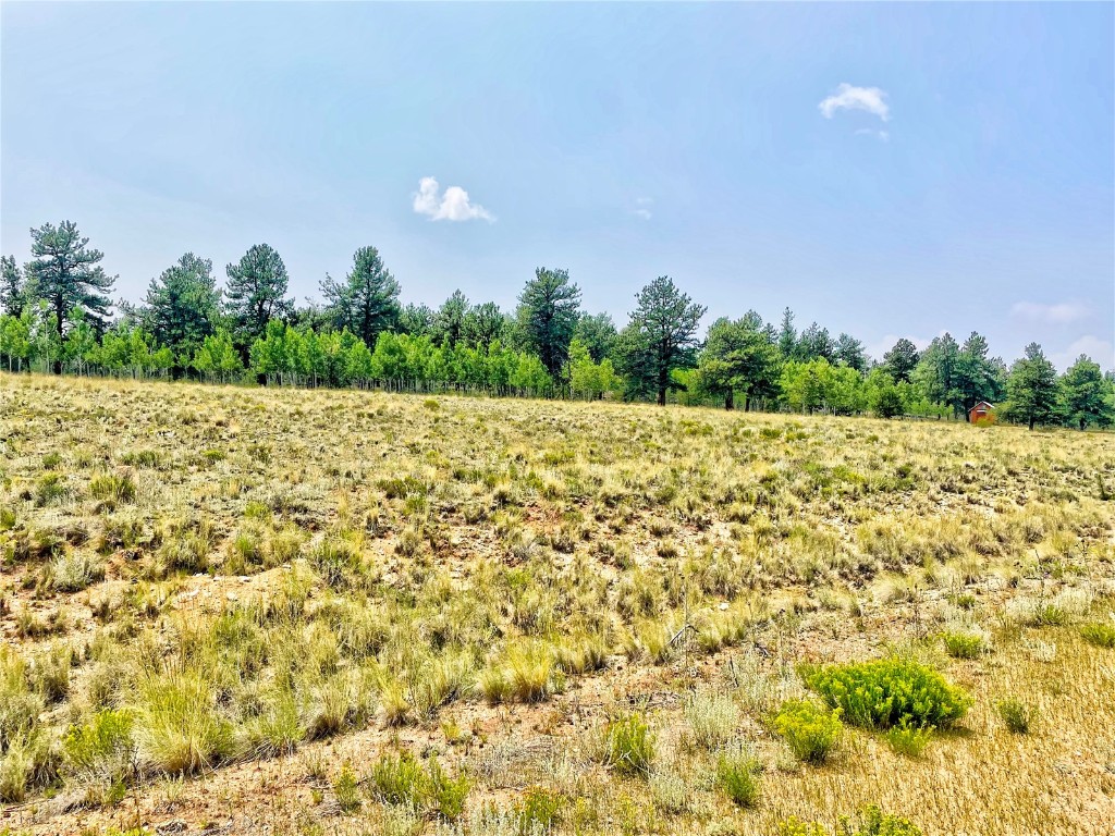 887 Superstition Trail Property Photo 9