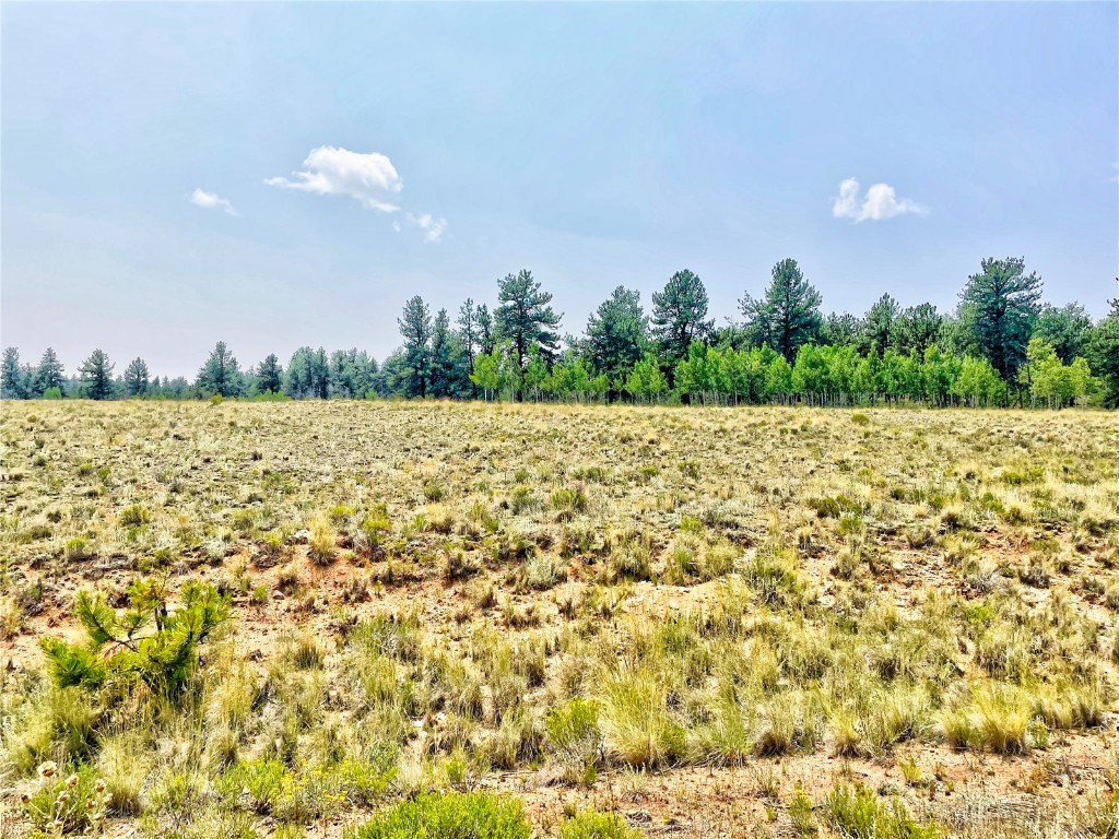 887 Superstition Trail Property Photo 10