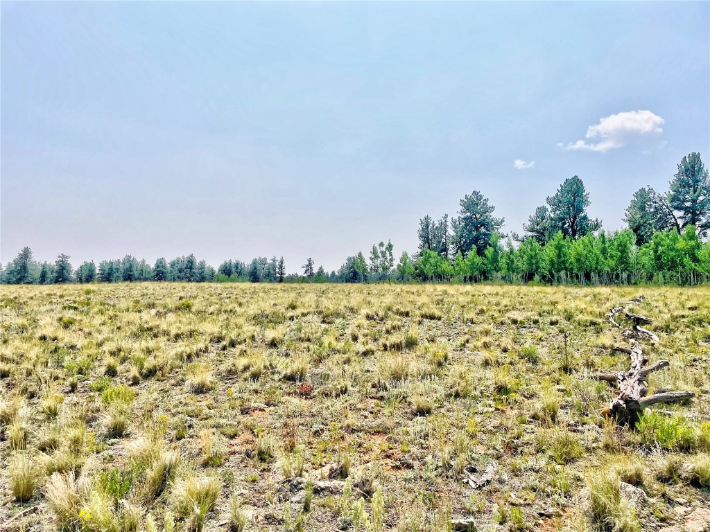 887 Superstition Trail Property Photo 12