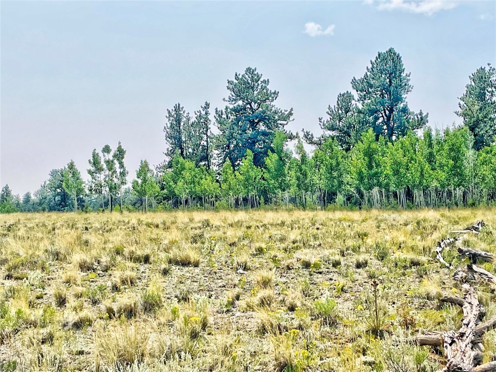 887 Superstition Trail Property Photo 13