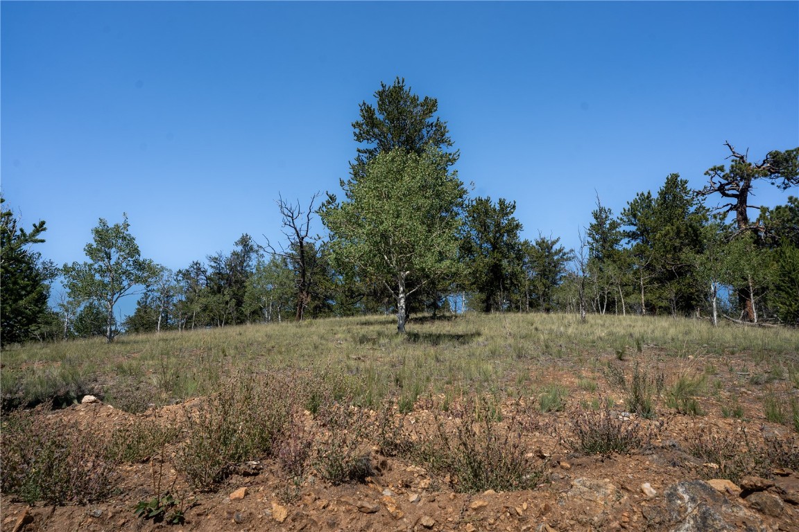 530 Gitche Goone Lane Property Photo 3