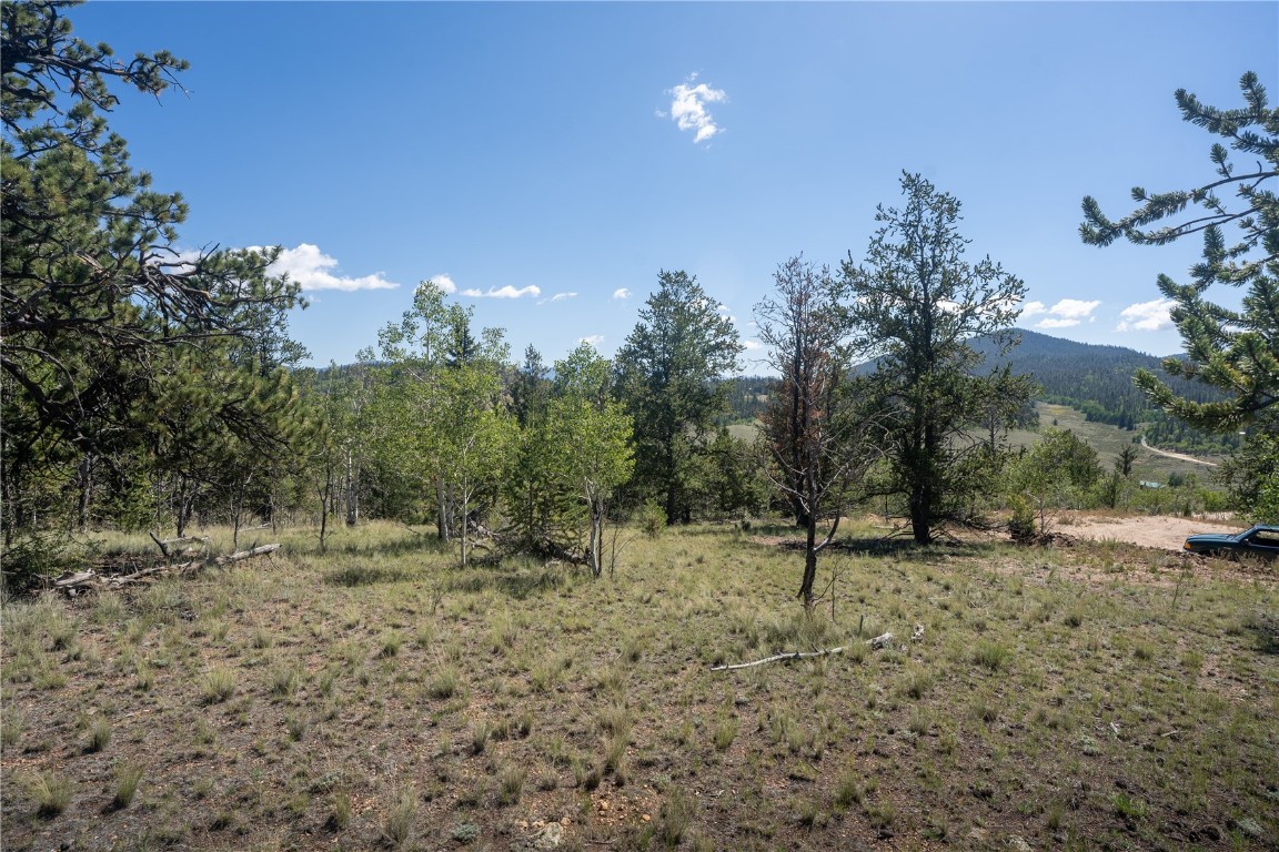 530 Gitche Goone Lane Property Photo 6
