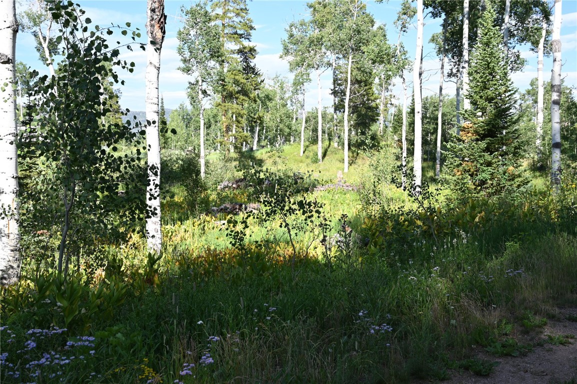 21525 Green Ridge Court Property Photo 9
