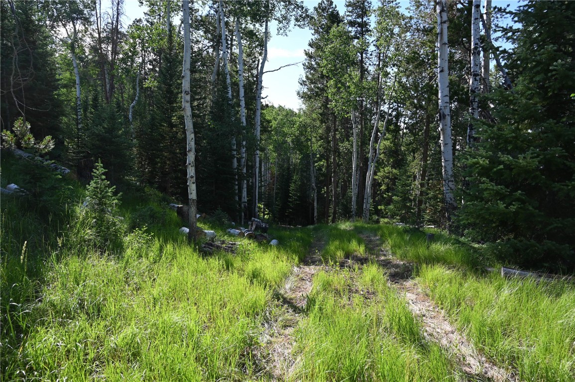 21525 Green Ridge Court Property Photo 14