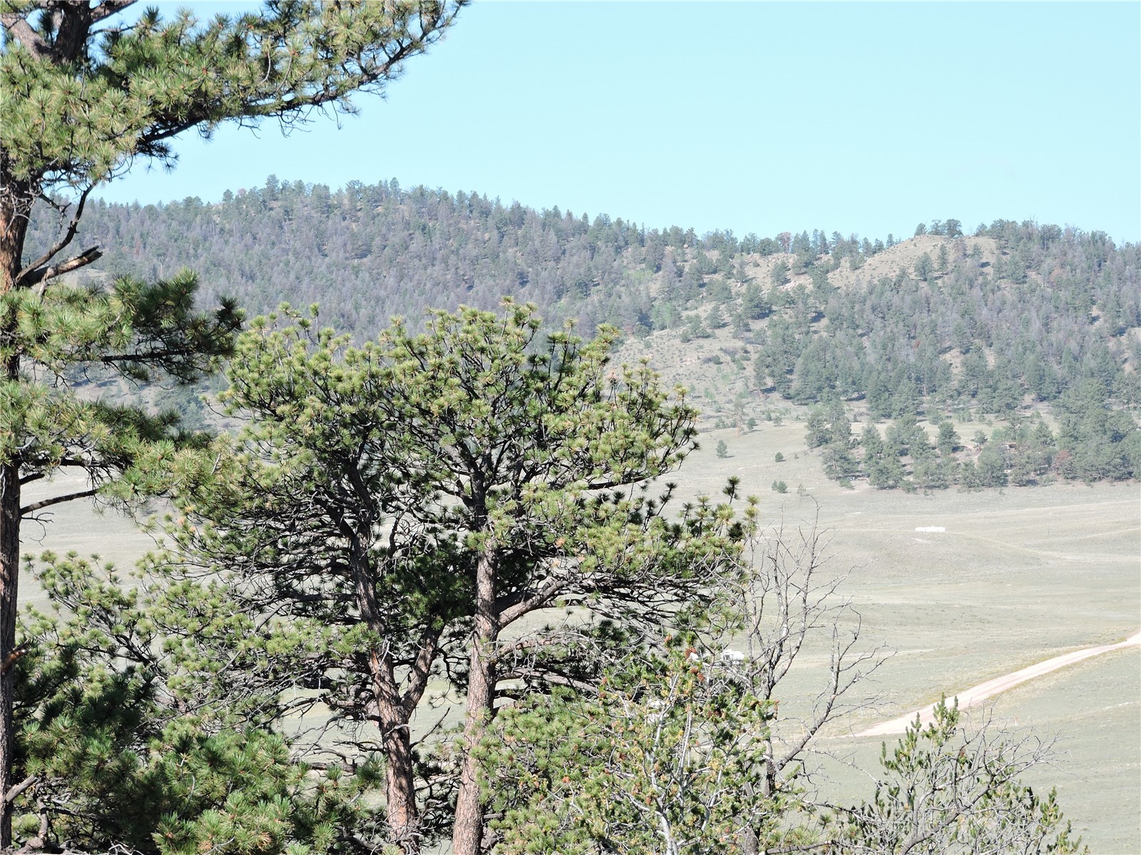 640 Arapaho Trail Property Photo 3