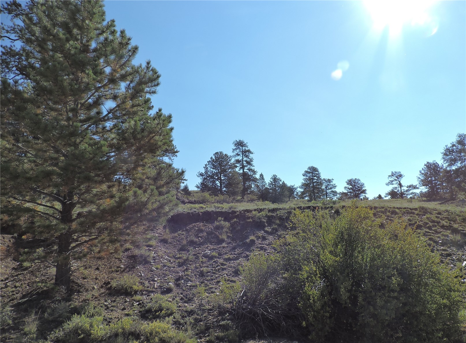 640 Arapaho Trail Property Photo 5