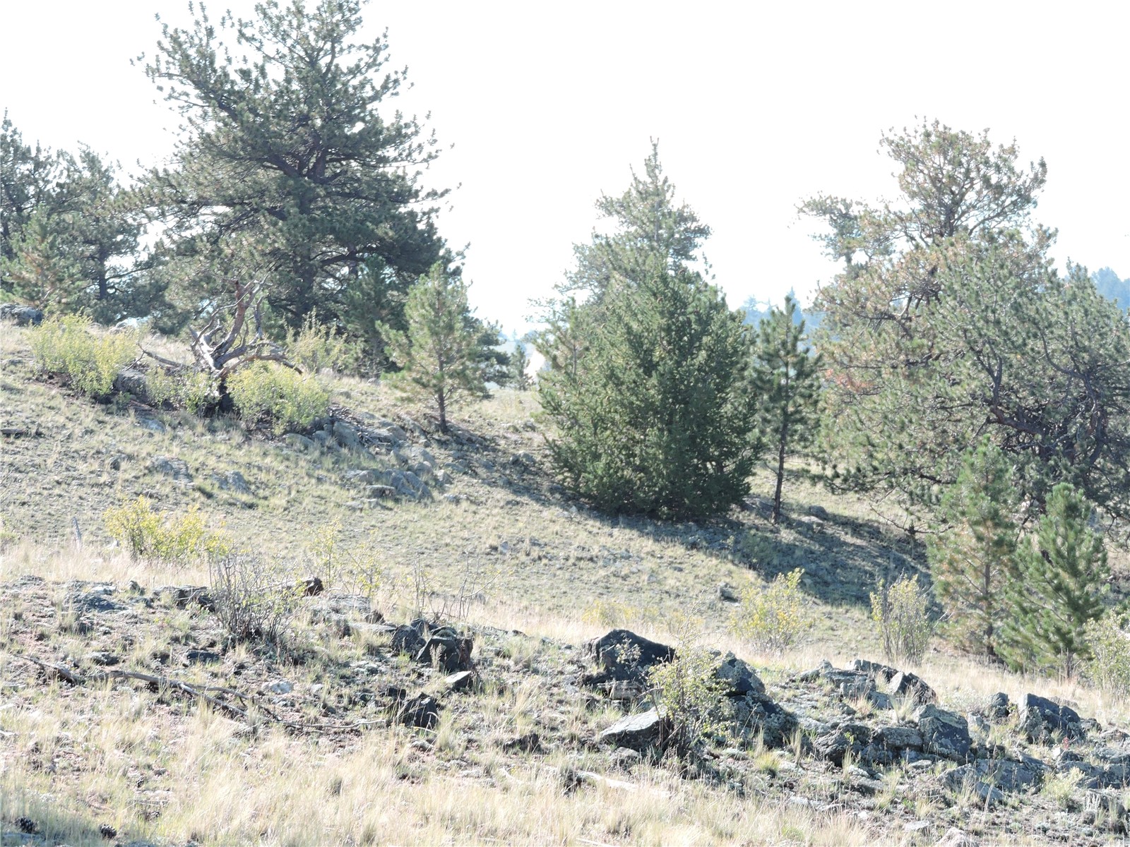 640 Arapaho Trail Property Photo 6
