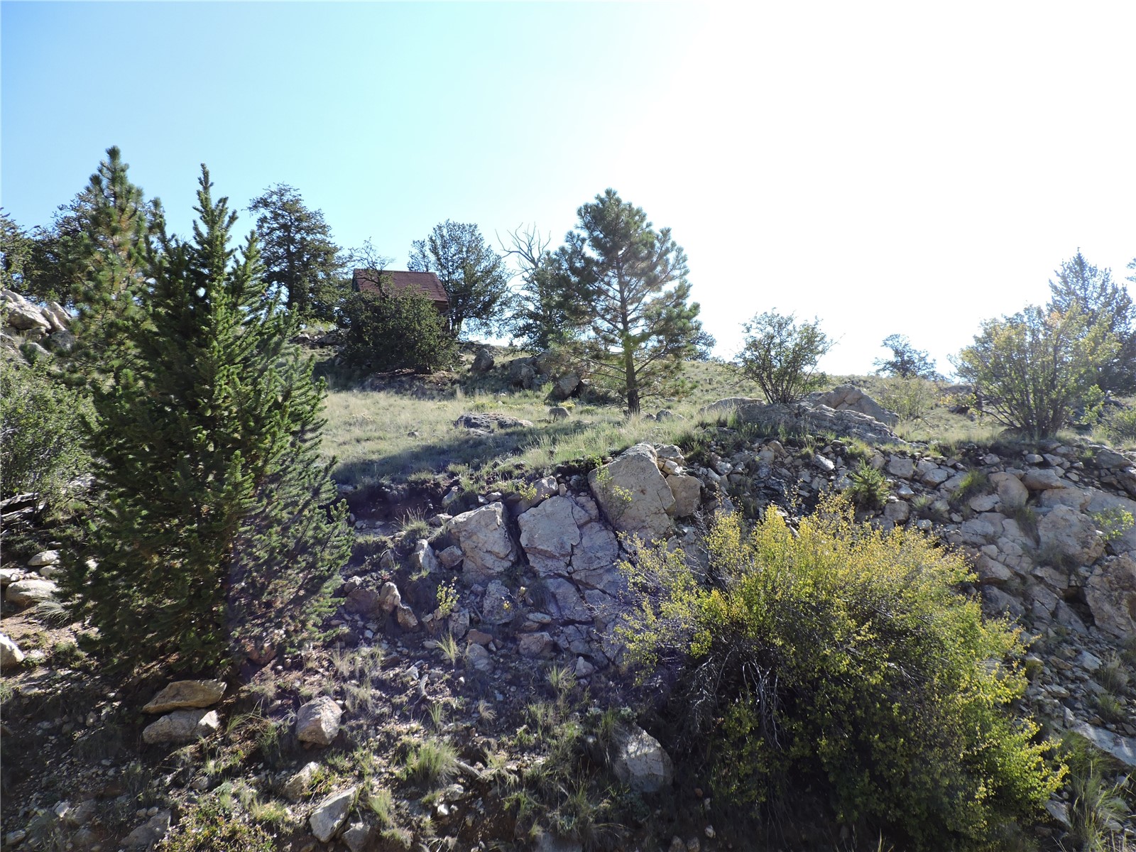 640 Arapaho Trail Property Photo 7