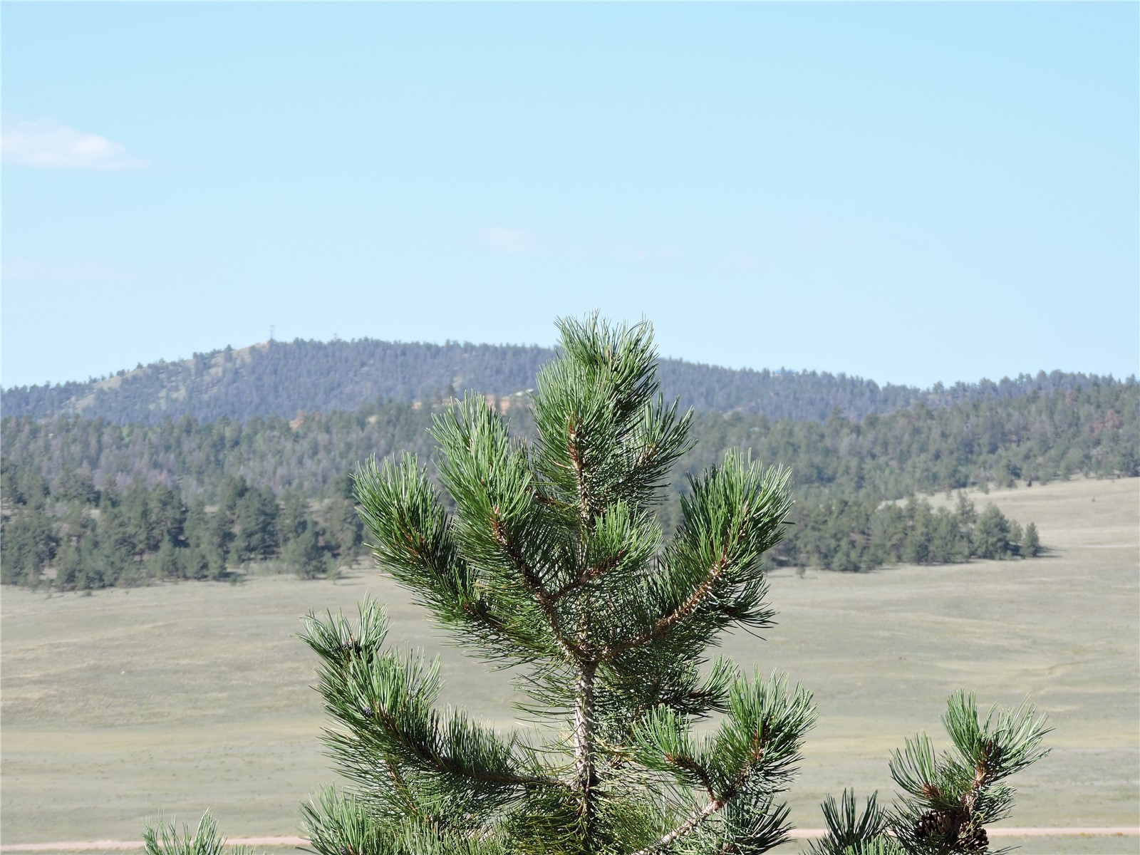 640 Arapaho Trail Property Photo 11