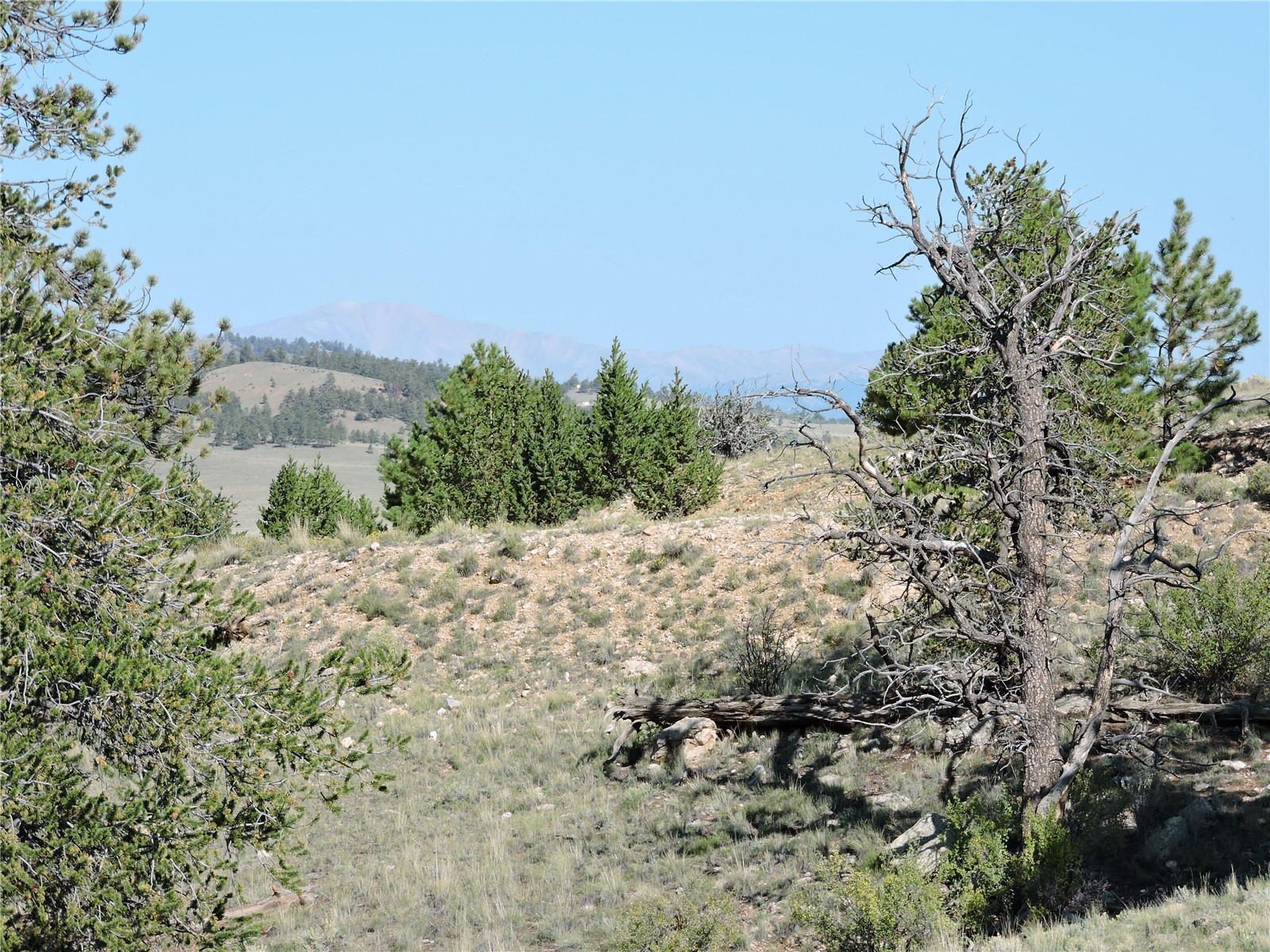 640 Arapaho Trail Property Photo 13