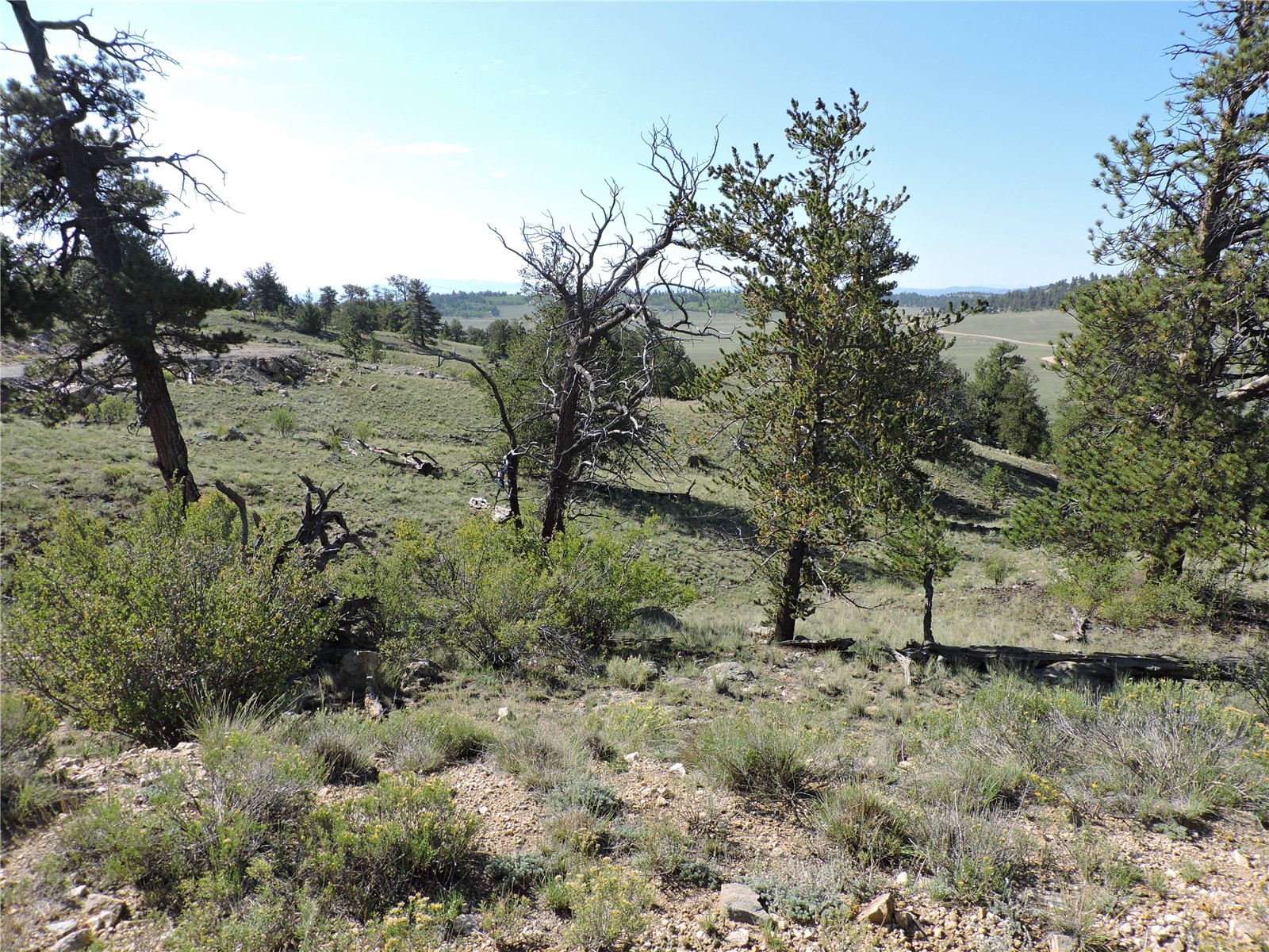 640 Arapaho Trail Property Photo 23