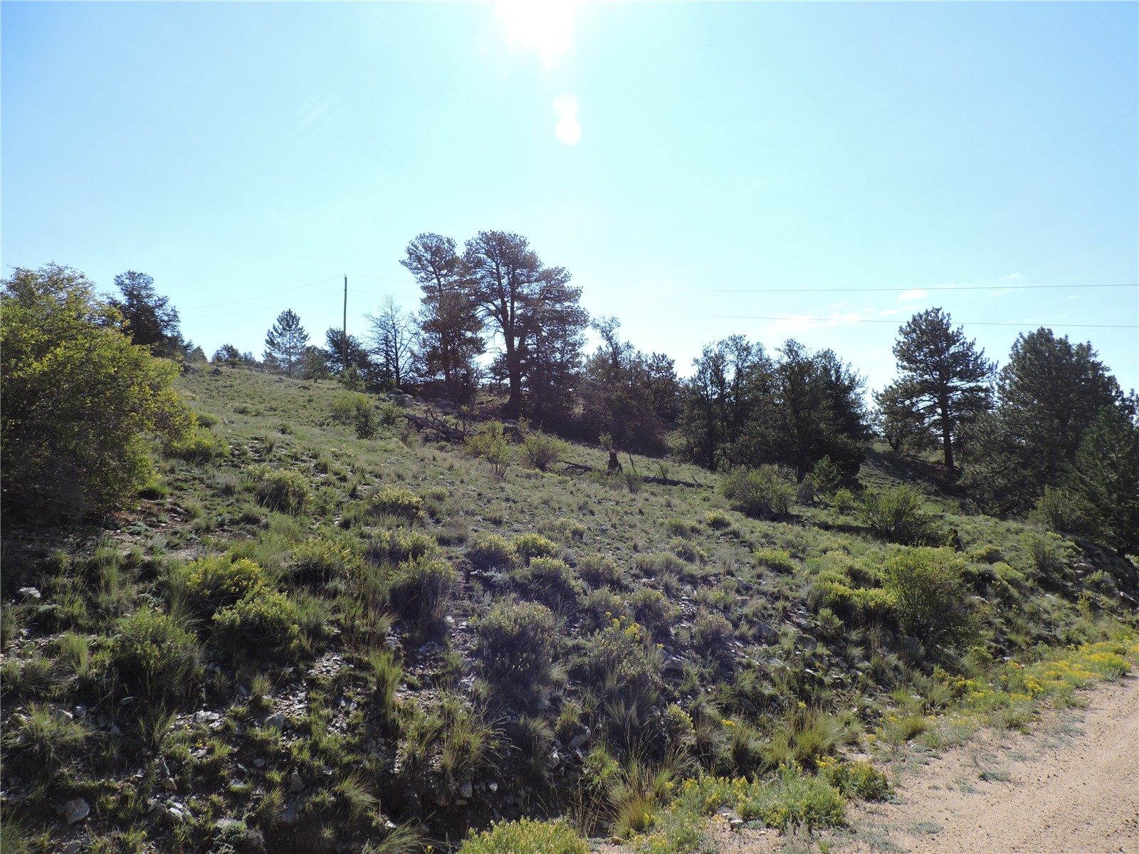640 Arapaho Trail Property Photo 25