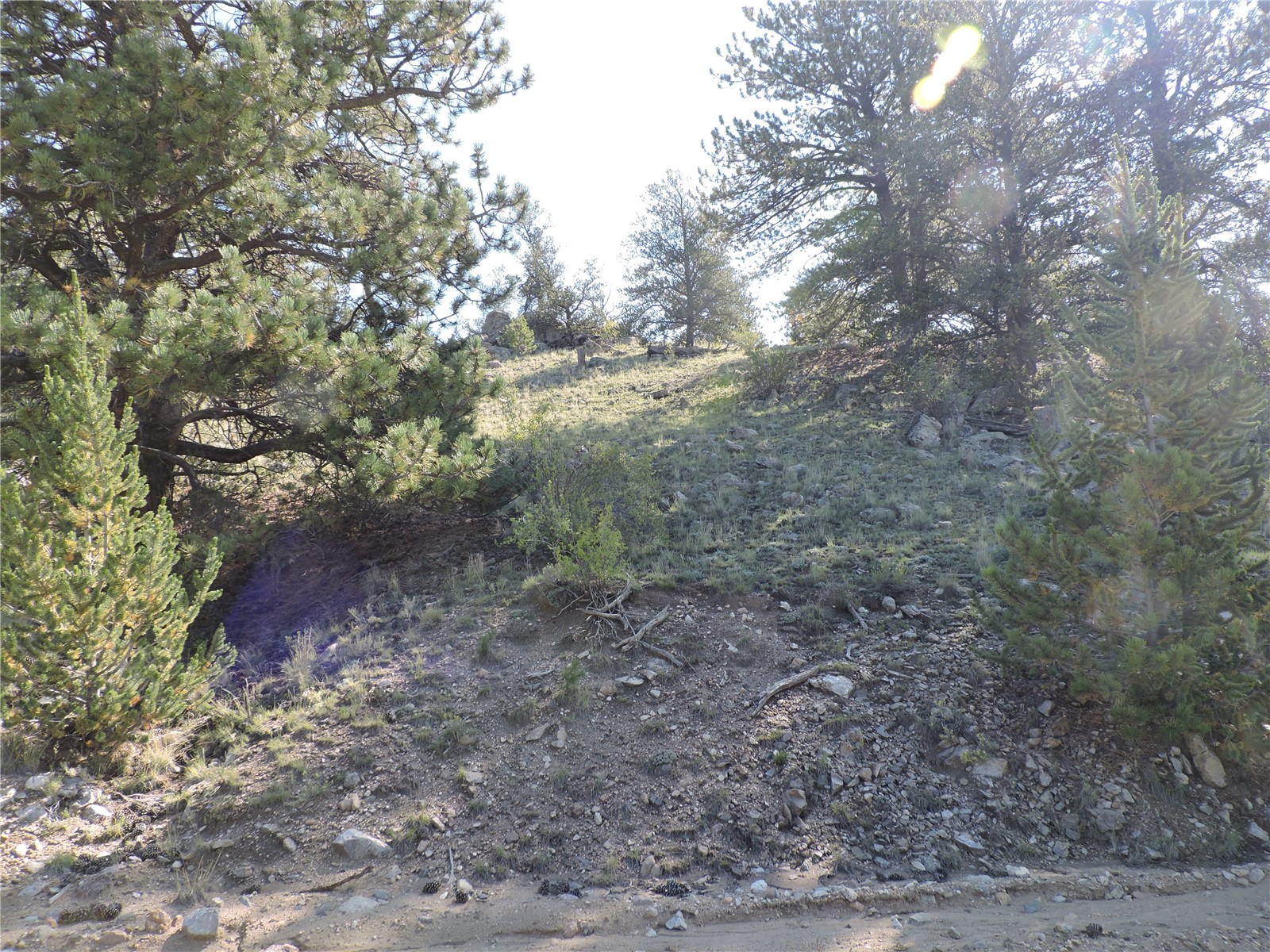 640 Arapaho Trail Property Photo 26