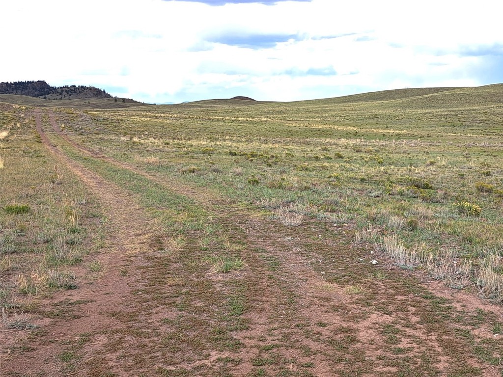 217 Black Gatto TRAIL Property Photo 1