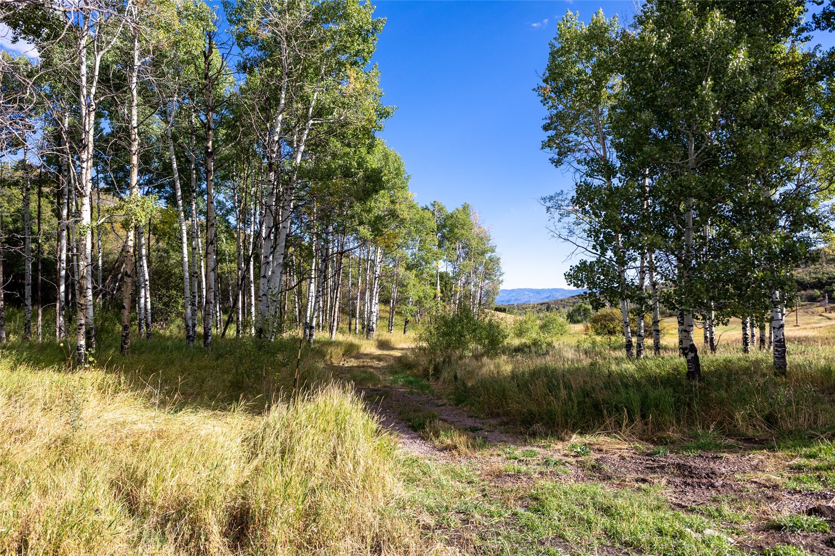 27795 County Road 14 Property Photo 40