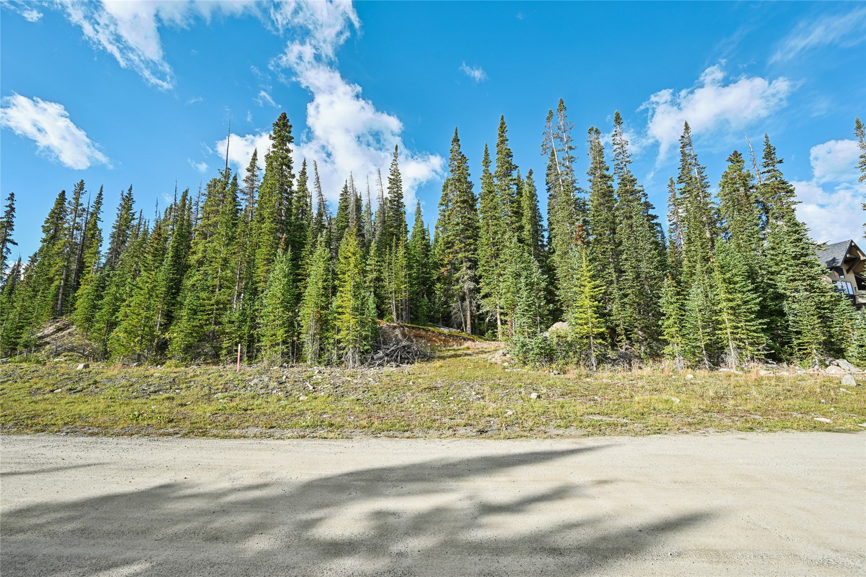 159 Hamilton Property Photo 6