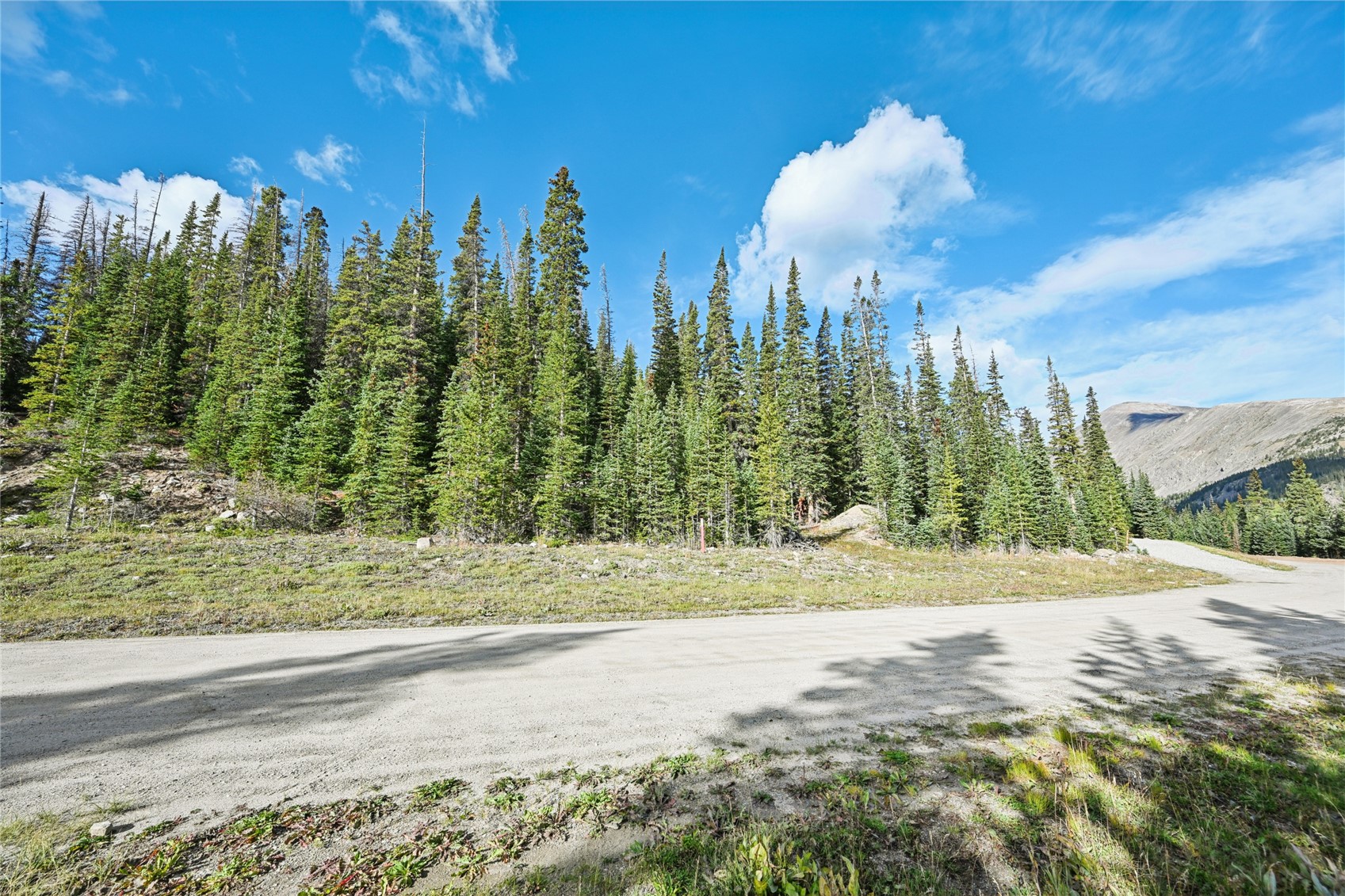 159 Hamilton Property Photo 7