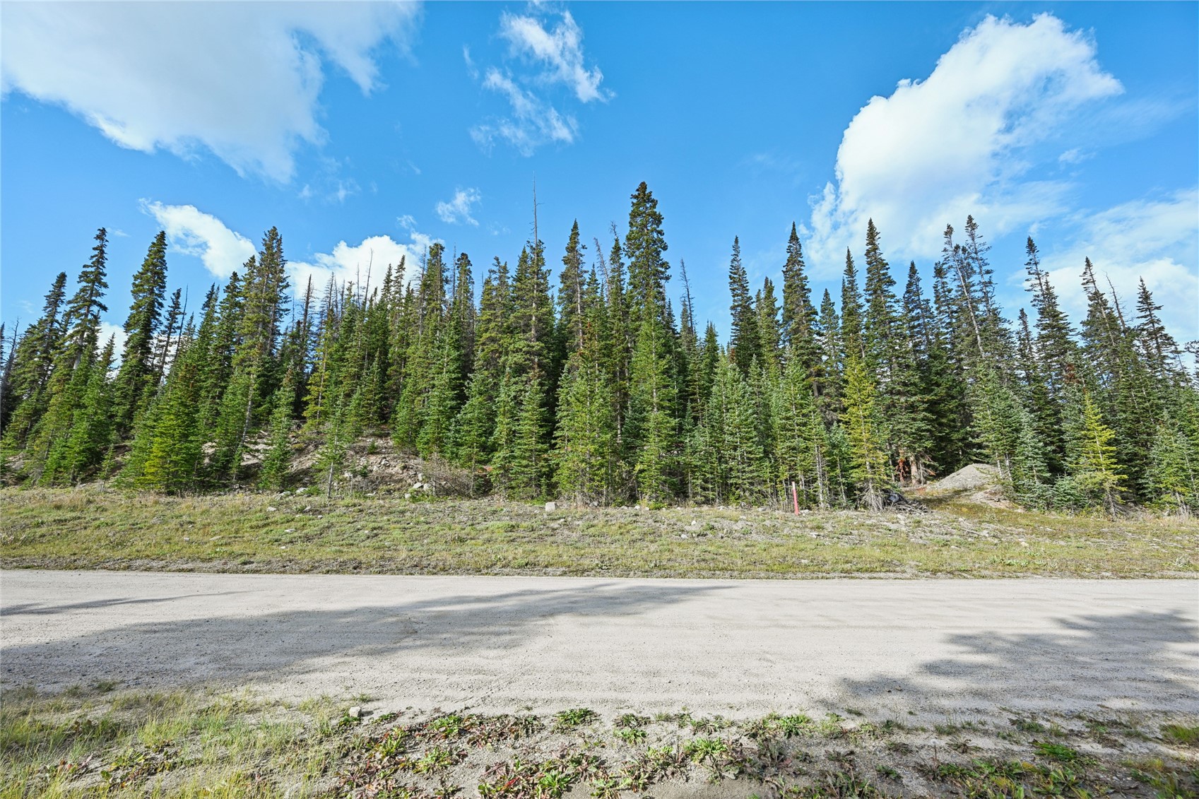 159 Hamilton Property Photo 8