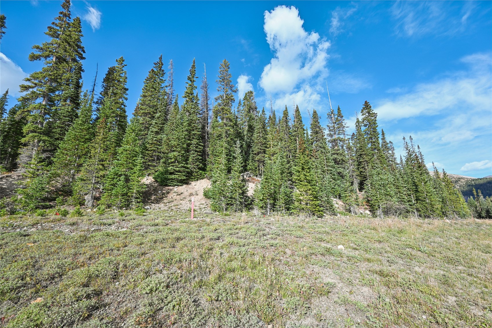 159 Hamilton Property Photo 11